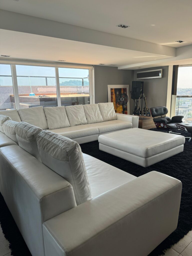 Higienização e Hidratação em Couro